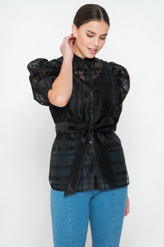 A See-thru Mini Length Organza Top